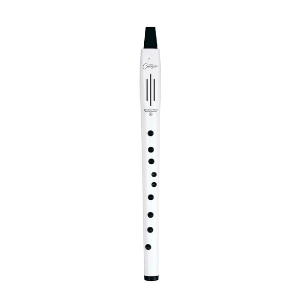Carry-on by Blackstar Digital Wind Instrument 2 White