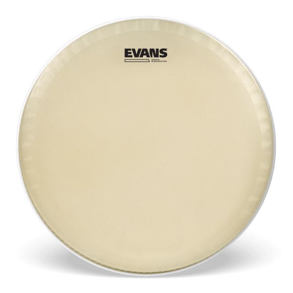 Evans 14
