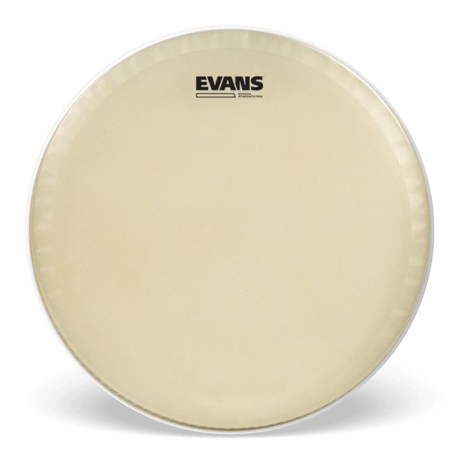 Hovedbilde Evans 14