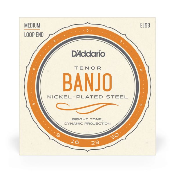 D'Addario EJ63 Tenorbanjo, Loop End